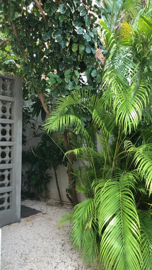 Cielo Neuf Bed & Breakfast Cancun Exterior photo